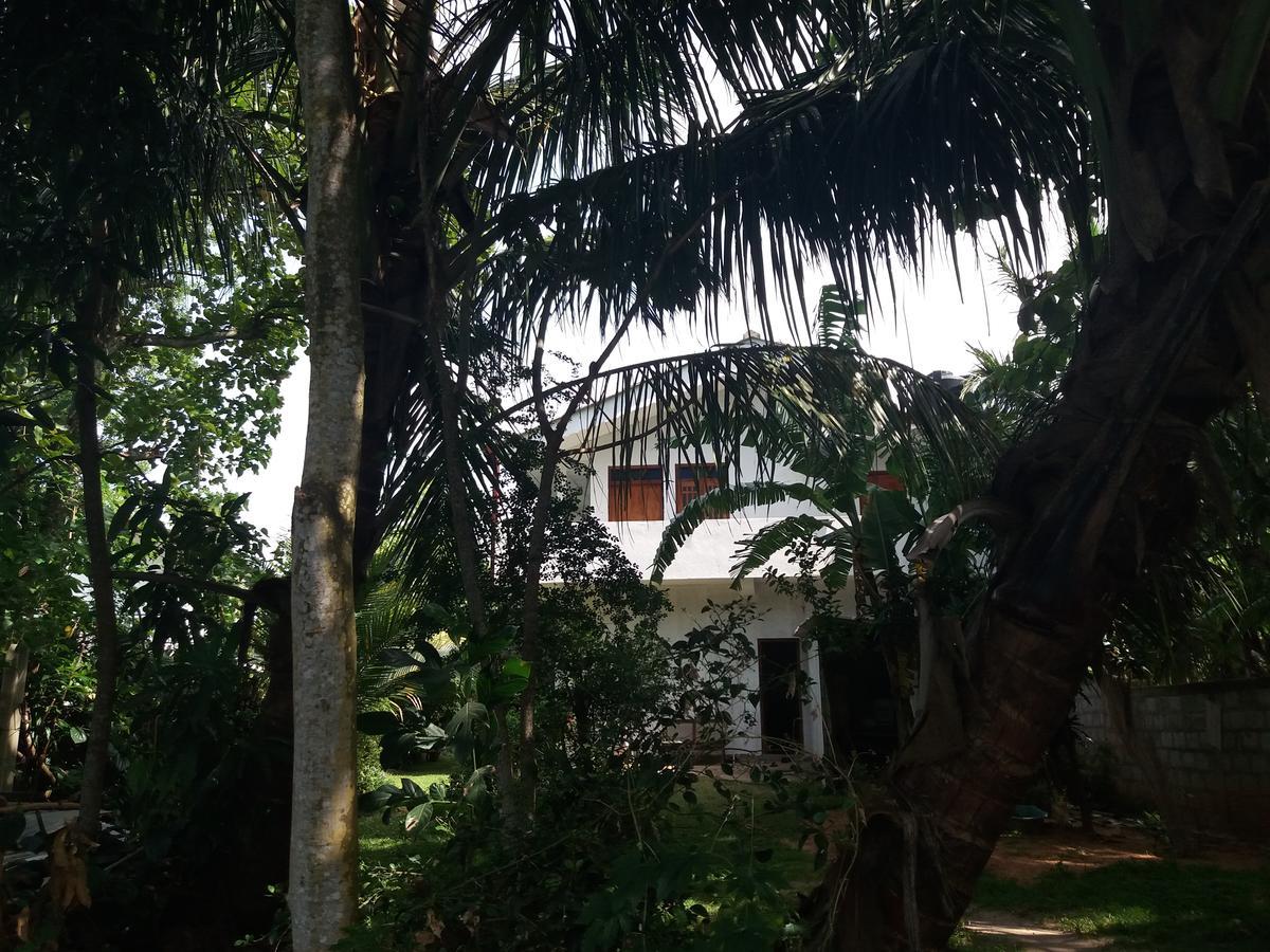 Ishitha Homestay Tangalle Zewnętrze zdjęcie