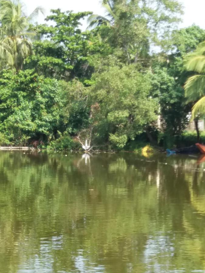 Ishitha Homestay Tangalle Zewnętrze zdjęcie